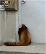 Baby GIF. Tweeling Baby Gifs Gevecht Aanbiddelijk Schattig 2 Fopspeen 