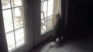 Baby GIF. Baby Mama Gifs Leven Schattig babay Babay 