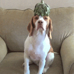 Banaan GIF. Eten en drinken Banaan Gifs Poets 