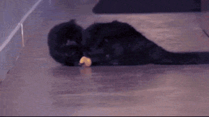 Banaan GIF. Eten en drinken Banaan Gifs Matrix 