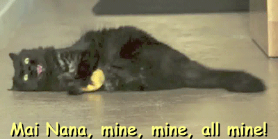 Eten en drinken Banaan Gifs doen animalsbeingjerks 