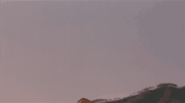 Eten en drinken Banaan Gifs shittyreactiongifs 