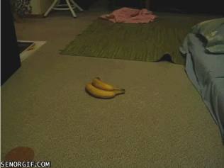 Eten en drinken Banaan Gifs 
