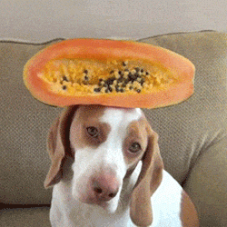 Banaan GIF. Eten en drinken Banaan Gifs Sungjae 