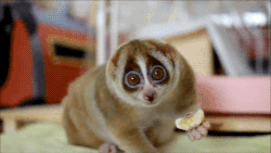 Banaan GIF. Eten en drinken Banaan Gifs Mri 