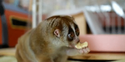 Eten en drinken Banaan Gifs 