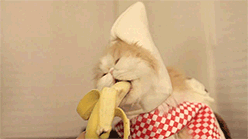 Banaan GIF. Eten en drinken Banaan Voedsel Gifs 