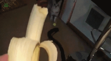 Eten en drinken Banaan Gifs 