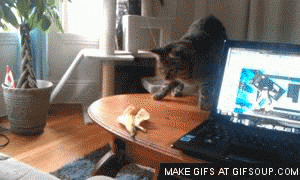 Banaan GIF. Eten en drinken Banaan Drank Gifs Grootmoeder 