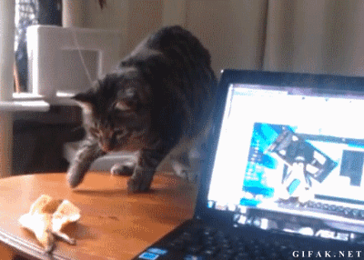 Eten en drinken Banaan Gifs schil 
