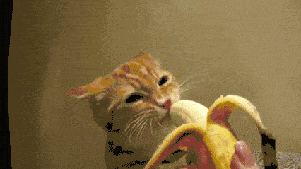 Eten en drinken Banaan Gifs man 