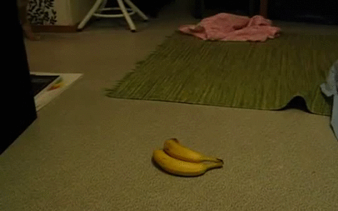 Eten en drinken Banaan Gifs sungjae 