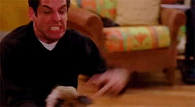 Dieren Nostalgie Gifs Hond Filmsterren Ben stiller komedie 90s wijnoogst retro 90s films 1990 mov 