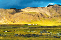 Ben Stiller GIF. Bioscoop Gifs Filmsterren Ben stiller 
