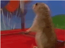Beyoncé GIF. Artiesten Beyonce Gifs 