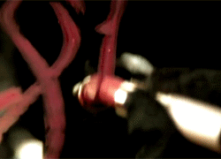 Beyoncé GIF. Dansen Artiesten Beyonce Gifs 