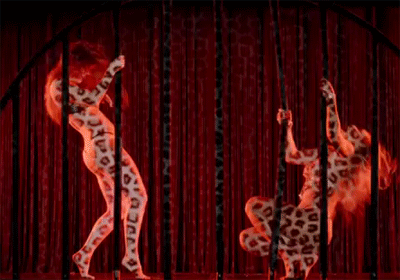 Muziek Artiesten Beyonce Sexy Gifs zwart en wit 