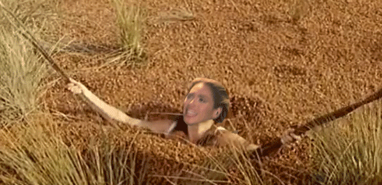 Artiesten Beyonce Gifs bootylicious oprah The Oprah Winfrey Show 