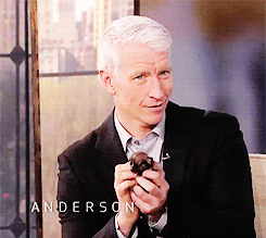 Beyoncé GIF. Artiesten Beyonce Gifs Tieten Diva 