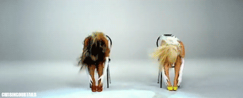 Artiesten Beyonce Gifs schop 