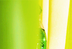 Beyoncé GIF. Artiesten Beyonce Gifs Grammys 2015 