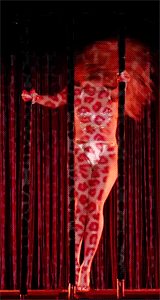 Beyoncé GIF. Muziek Artiesten Beyonce Gifs Visuele album Nieuw album 