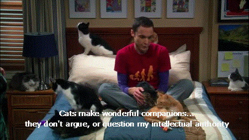 Films en series Gifs Big bang theory sheldon cooper Amy Farrah Fowler shamy 