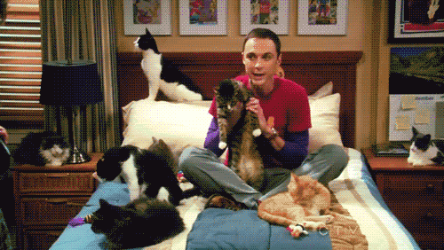 Films en series Kinderen Gifs Big bang theory reactie geen eww 