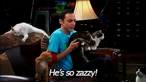 Films en series The big bang theory Gifs Big bang theory de oerknal Melissa Rauch 