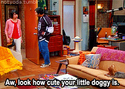 Big Bang Theory GIF. Grappig Schattig Films en series Tv Gifs Big bang theory Sheldon cooper 
