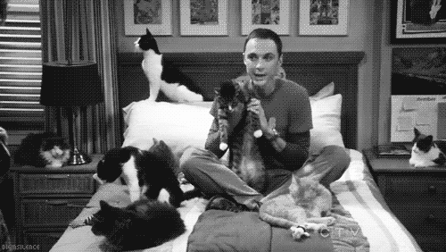 Films en series Gifs Big bang theory sheldon 