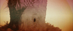 Black Swan GIF. Bioscoop Films en series Gifs Black swan 