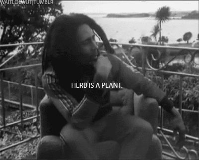 Artiesten Gifs Bob marley onkruid marihuana 