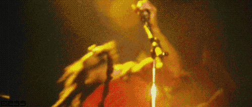 Muziek Artiesten Gifs Bob marley concert reggae legende 
