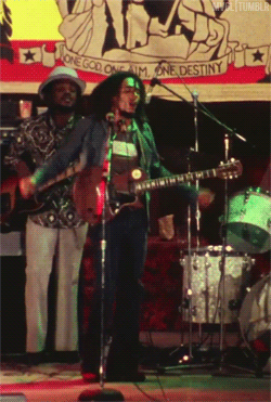 Artiesten Gifs Bob marley reggae ganjah 