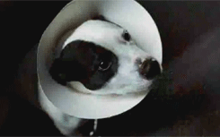 Brad Pitt GIF. Bioscoop Films en series Brad pitt Gifs Fight club Filmsterren Helena bonham carter 