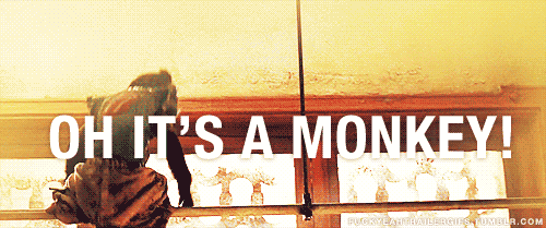 Bradley Cooper GIF. Beroemdheden Gifs Filmsterren Bradley cooper 