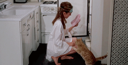 Film Films en series Films sabrina Gifs Breakfast at tiffanys  Audrey Hepburn Roman Holiday My Fair Lady 