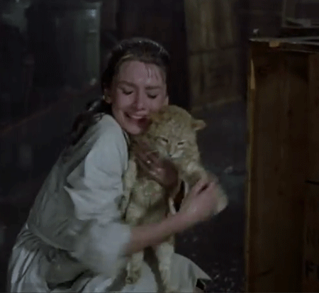 Films en series Koffie Gifs Breakfast at tiffanys venster Audrey Hepburn 