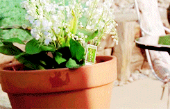 Breaking Bad GIF. Films en series Breaking bad Gifs Saul goodman Bob odenkirk 