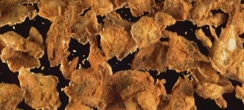 Breaking Bad GIF. Televisie Films en series Breaking bad Tv Gifs Amc Aaron paul Jesse pinkman 