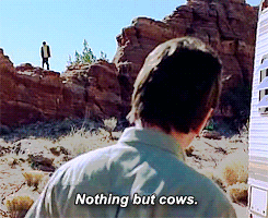 Breaking Bad GIF. Televisie Films en series Breaking bad Gifs Skyler white Walter white 