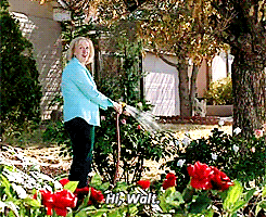 Breaking Bad GIF. Films en series Breaking bad Gifs Walt wit 