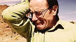 Breaking Bad GIF. Films en series Breaking bad Gifs Saul goodman Graniet staat 