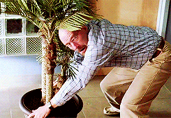 Breaking Bad GIF. Films en series Breaking bad Gifs Skyler white Graniet staat Leeg Vacant 
