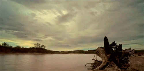 Drinken Films en series Breaking bad Gifs onhandig diner jesse pinkman 