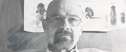 Films en series Breaking bad Gifs Filmsterren Bryan cranston anna gunn Ozymandias RJ Mitte 