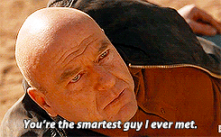 Breaking Bad GIF. Films en series Breaking bad Gifs Filmsterren Bryan cranston Walter white Remmen slecht hondsdolle hond 