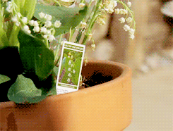 Breaking Bad GIF. Films en series Breaking bad Gifs Aaron paul Jesse pinkman Remmen slecht hondsdolle hond 