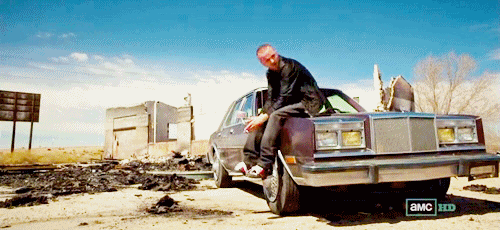 Films en series Breaking bad Gifs Aaron Paul jesse pinkman betsy brandt hondsdolle hond 